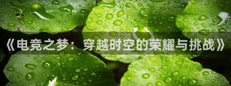 JJB电竞官方网站：《电竞之梦：穿越时空的荣耀与挑战》
