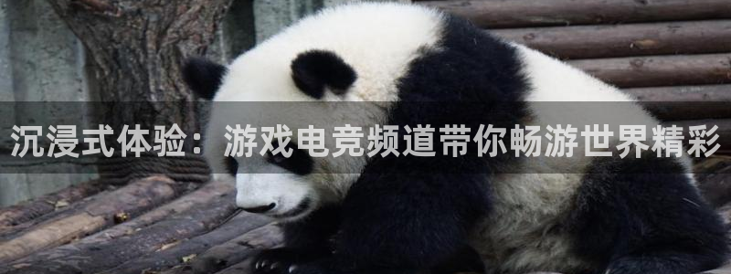 JJB电竞官方网站：沉浸式体验：游戏电竞频道带你畅游世界精彩