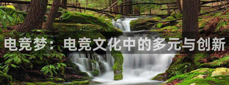 JJB电竞官方网站：电竞梦：电竞文化中的多元与创新