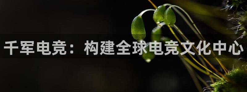 JJB电竞官方网站：千军电竞：构建全球电竞文化中心