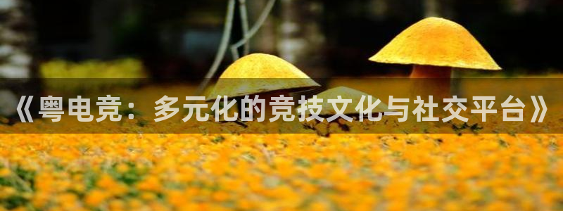 JJB电竞官：《粤电竞：多元化的竞技文化与社交平台》