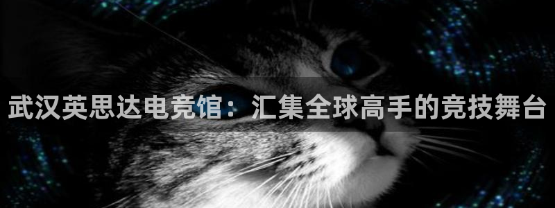 JJB电竞官方网站：武汉英思达电竞馆：汇集全球高手的竞技舞台