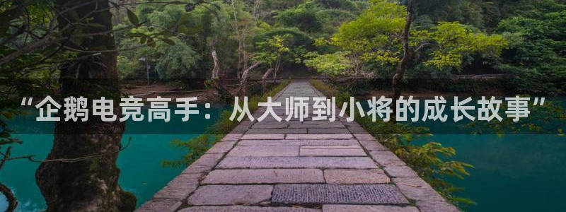 JJB电竞官：“企鹅电竞高手：从大师到小将的成长故事”
