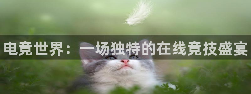 JJB电竞官：电竞世界：一场独特的在线竞技盛宴